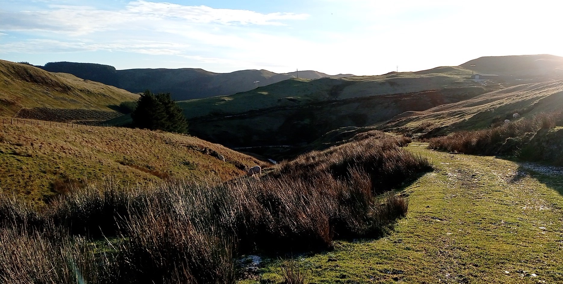 RachelSeabrook.net | Wild Walking | Y Garn & Pumlumon | pic24